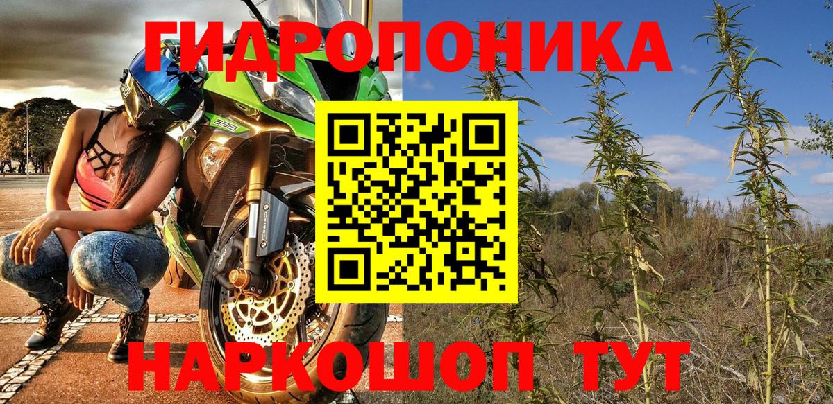 Канабис ГИДРОПОН  Вход с VPN  Калуга  Канабис White Widow  Каннабис White Widow  Каннабис конопля 
